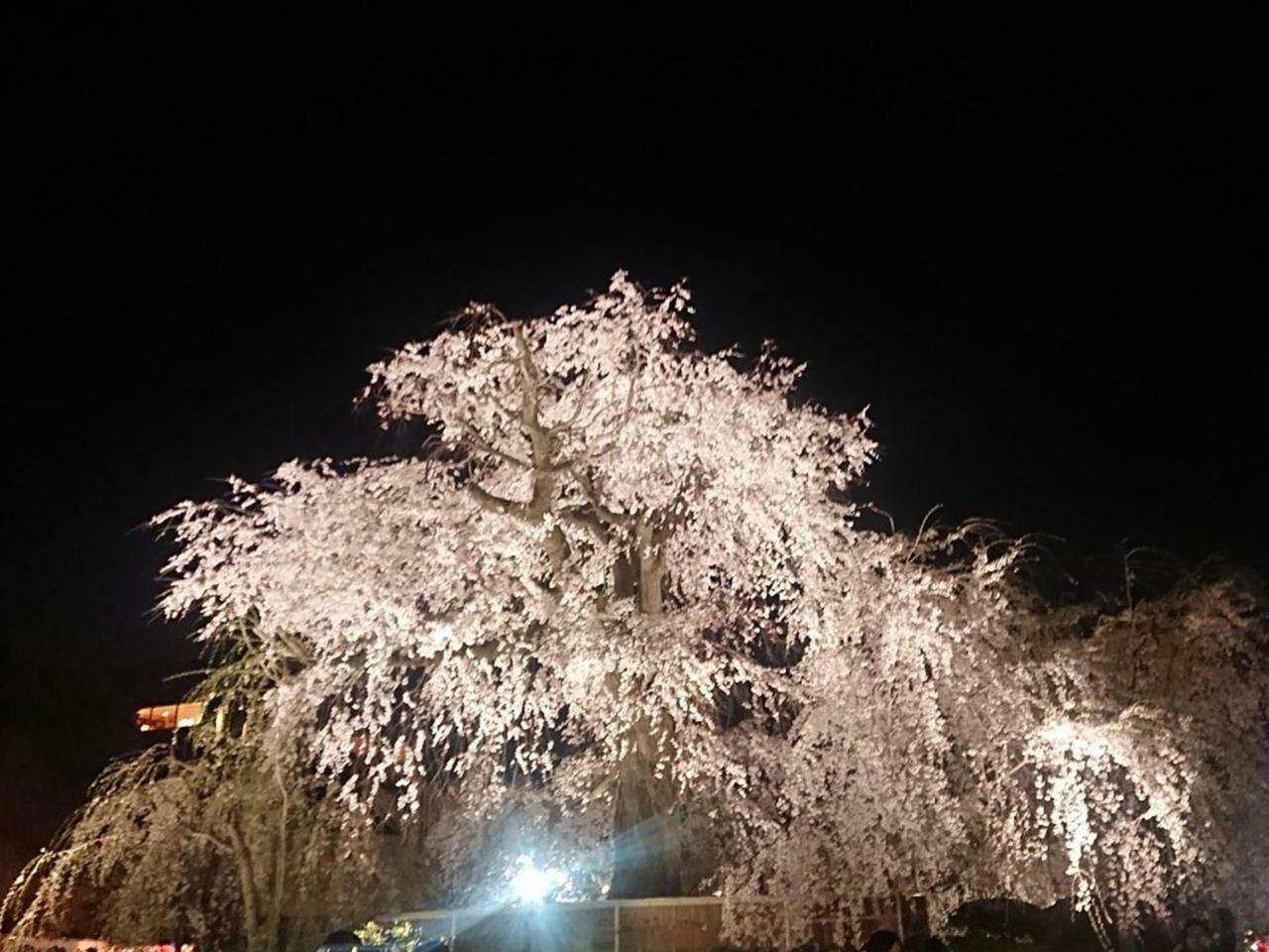 Hostel Kyoto Arashiyama Muko 外观 照片