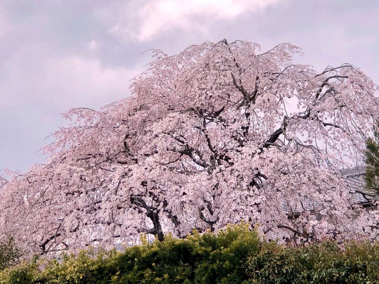 Hostel Kyoto Arashiyama Muko 外观 照片